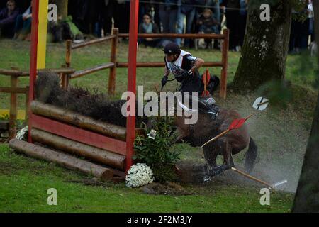 Frankreich, Le Lion d'Angers : ARNAUD BOITEAU REITEN AUF SULTAN DE LA MOTTE (HERBST) während der Cross Country der "Mondial du Lion", am 19th. oktober 2013 - Eventing : die Weltmeisterschaft für Pferde , 6 und 7 Jahre alt - Foto Christophe Bricot / DPPI Stockfoto