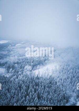 Deutschland, Sachsen, Erzgebirge, Winterwald Stockfoto