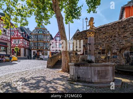 Deutschland, Hessen, Idstein, König-Adolf-Platz, Löwenbrunnen, Baum, Fachwerkhäuser Stockfoto