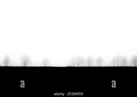 Abstraktes Bild von Nebel über einer Wiese, im Hintergrund Bäume und ein hoher Sitz für Jäger Stockfoto