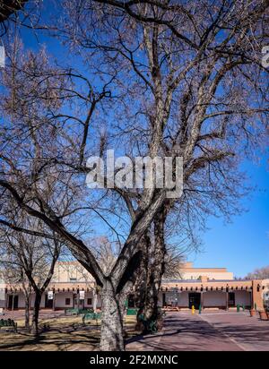 Ein Blick auf die Bäume und den platz in der Innenstadt von Santa Fe, NM Stockfoto