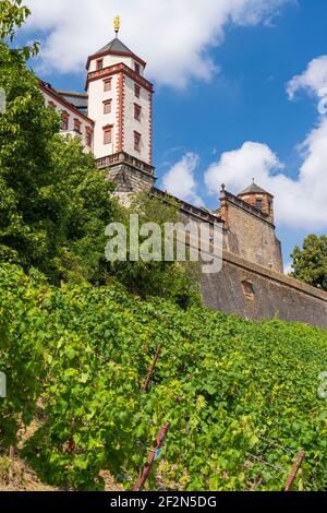 Festung Marienberg über der Stadt Würzburg, Unterfranken, Franken, Bayern, Deutschland Stockfoto