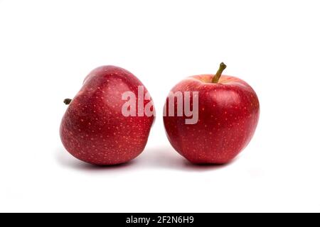 Zwei rote Äpfel, die isoliert auf weißem Hintergrund Stockfoto