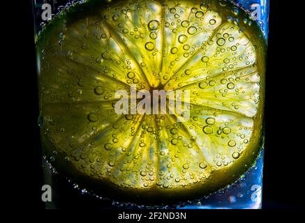 Eine Scheibe Limettenfrucht in einem kohlensäurehaltigen Wasser Stockfoto
