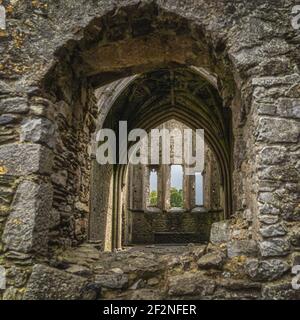 Blick durch das Fenster zur Hore Abbey verlassene Innenausstattung mit dekorativen Bögen. Das Hotel liegt neben dem Schloss Rock of Cashel, County Tipperary, Irland Stockfoto