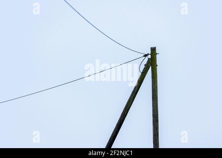 Deutschland, Ostfriesland, Stromleitung mit Holzmast. Stockfoto