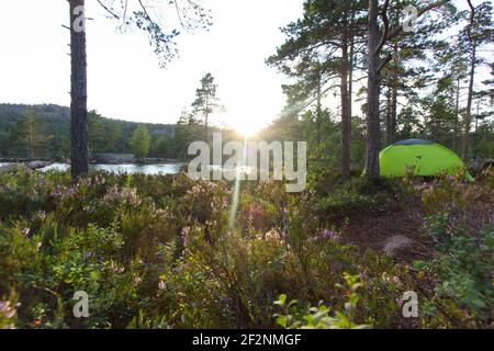 Wandertour in Schweden entlang des Höga Kustenleden Wanderweges Stockfoto