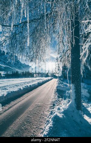 Straße durch eine eisige Winterlandschaft, Bäume mit gefrorenen Ästen, dolomiten und Morgensonne im Hintergrund, Cortina d'Ampezzo, Belluno, Venetien, Italien Stockfoto