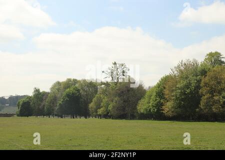 Panoramablick über eine weite Wiese im Frühling in Hertfordshire Stockfoto