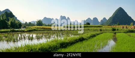 Panorama, Asien, China, Guilin, Reisfelder vor Karstbergen Stockfoto