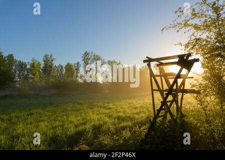 Hoher Sitzplatz bei Sonnenaufgang, April, Hessen Stockfoto