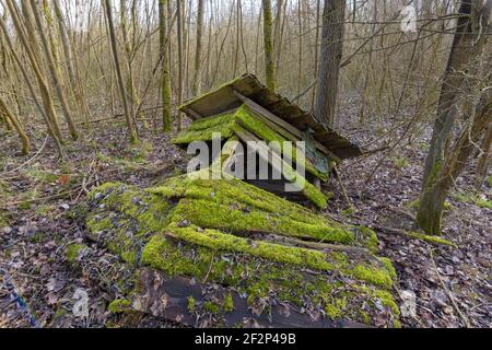 Alter, zerbröckelter Hochsitz im Wald, März, Hessen, Deutschland Stockfoto