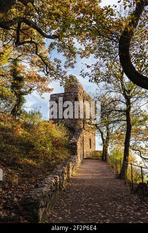 Spaziergang zur Burgruine Rossel im Rheingau Stockfoto