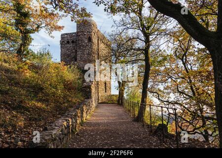 Spaziergang zur Burgruine Rossel im Rheingau Stockfoto