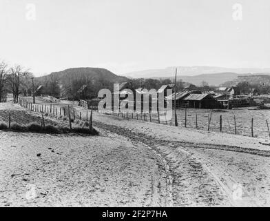 Mormon Bauernhof Dorf. Escalante, Utah. April 1936. Foto von Dorothea lange. Stockfoto