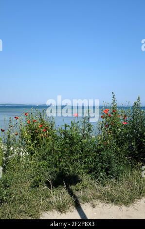 Camping Urlaub an der Ostsee Stockfoto