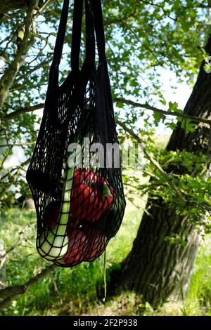 Camping Urlaub an der Ostsee Stockfoto