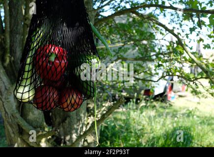 Camping Urlaub an der Ostsee Stockfoto