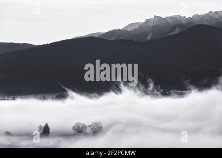 Aufsteigender Nebel über den Mooren des Loisach-Kochelsee Stockfoto