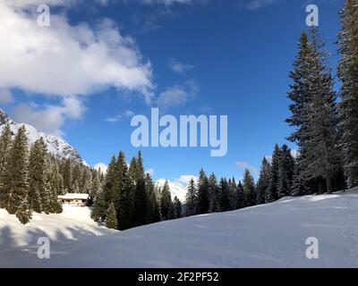 Hoher Sattel Rodelbahn, Jägerhütte, Winterlandschaft, Natur, Ahrn, Leutasch, Scharnitz, Seefeld, Tirol, Österreich Stockfoto