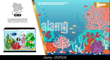 Flaches Aquarium helle Komposition mit exotischen bunten Fischen Seetang Steine Und Korallen Vektorgrafik Stock Vektor