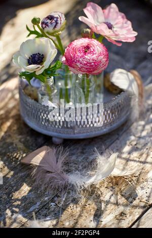 Oster-Dekorationen mit Frühlingsblumen, Ranunkeln und Anemonen Stockfoto