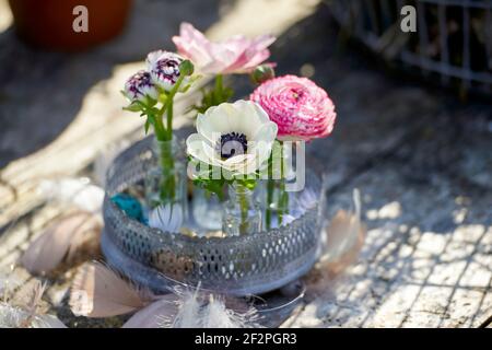 Oster-Dekorationen mit Frühlingsblumen, Ranunkeln und Anemonen Stockfoto