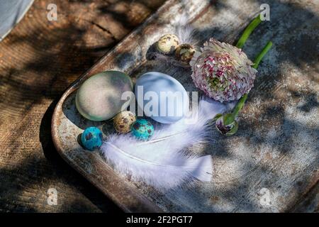 Oster-Dekorationen mit Frühlingsblumen, Ranunkeln und Anemonen Stockfoto