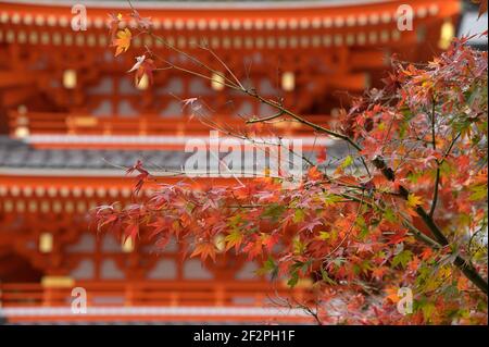 Die Tochoji Tempel Pagode im Spätherbst, Fukuoka JP Stockfoto