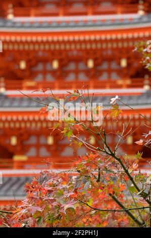 Die Tochoji Tempel Pagode im Spätherbst, Fukuoka JP Stockfoto