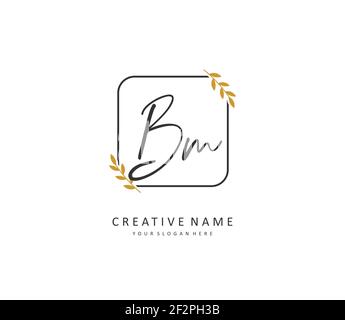B M BM Anfangsbuchstabenhandschrift und Unterschriftenlogo. Ein Konzept handschriftlich Initiallogo mit Template-Element. Stock Vektor