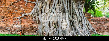 Sandsteinkopf einer Buddha-Statue, gewachsen im Wurzelnetzwerk einer Würgerfeige (Ficus religiosa), Wat Mahathat, Ayutthaya, Thailand, Asien Stockfoto