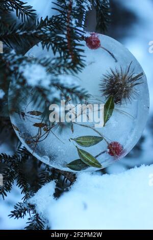 DIY Winter Projekt gefrorene Baum Anhänger mit Beeren und Blättern Stockfoto