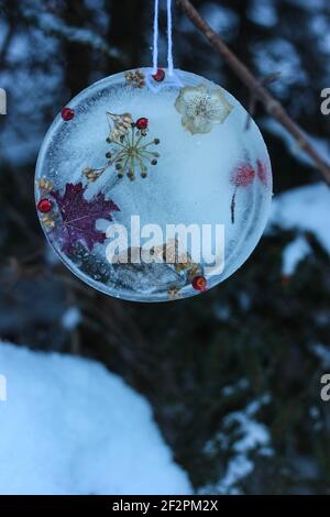 DIY Winter Projekt gefrorene Baum Anhänger mit Beeren und Blättern Stockfoto