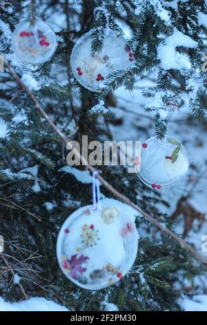 DIY Winter Projekt gefrorene Baum Anhänger mit Beeren und Blättern Stockfoto