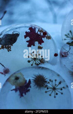 DIY Winter Projekt gefrorene Baum Anhänger mit Beeren und Blättern Stockfoto