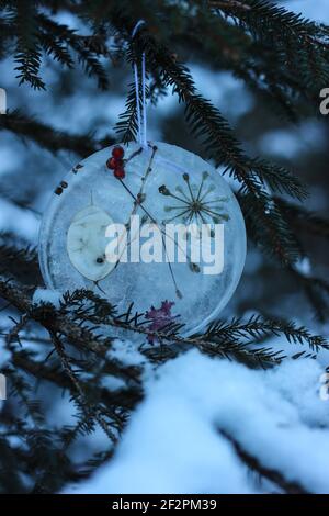 DIY Winter Projekt gefrorene Baum Anhänger mit Beeren und Blättern Stockfoto