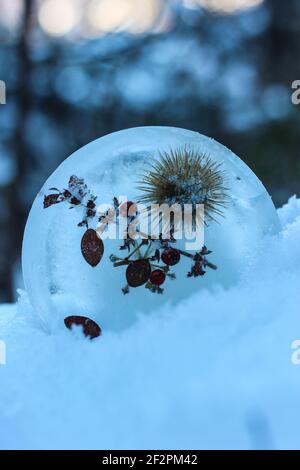 DIY Winter Projekt gefrorene Baum Anhänger mit Beeren und Blättern Stockfoto