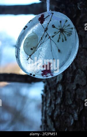 DIY Winter Projekt gefrorene Baum Anhänger mit Beeren und Blättern Stockfoto