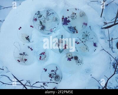 DIY Winter Projekt gefrorene Baum Anhänger mit Beeren und Blättern Stockfoto