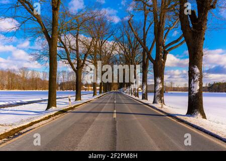 Landstraße Nr. L73 im Winter in Deutschland, zwischen dem Dorf Jaenickendorf und dem kleinen Dorf Holbeck, Gefahr der Glätte durch Schnee für Kraftfahrzeuge Stockfoto