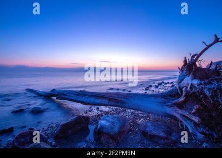 Deutschland, Schleswig-Holstein, die Ostseeküste in der Lübecker Bucht. Winter am Brodtner Steilufer in Travemünde. Stockfoto