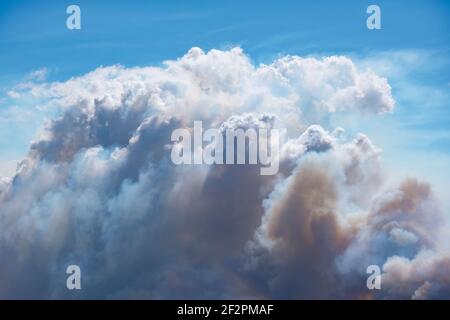 Eine Pyrocumuluswolke über einem wütenden Feuer Stockfoto