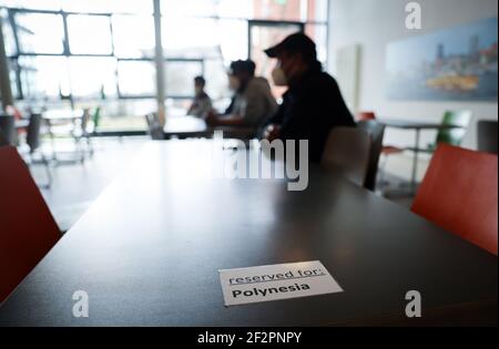 12. März 2021, Hamburg: Kiribati-Seeleute sitzen bei einem Informationsgespräch im Speisesaal der Jugendherberge an der Horner Rennbahn. Zahlreiche Seeleute aus dem Südseestaat stecken seit Oktober 2020 wegen der Corona-Pandemie in der Hamburger Jugendherberge fest. Die Regierung des kleinen Inselstaates Kiribati, die die durch das Corona-Virus verursachte Pandemie befürchtete, hat vor fast einem Jahr den Ausnahmezustand ausgerufen und alle Grenzen geschlossen, auch für ihre eigenen Bürger. (An dpa 'einmal Hamburg und zurück - Kiribati-Matrosen auf Corona Odyssee') Foto: Christian Charisius/dpa Stockfoto