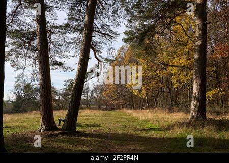 Landschaft im Naturpark Haßberge bei Königsberg in Bayern, Kreis Haßfurt, Unterfranken, Bayern, Deutschland Stockfoto