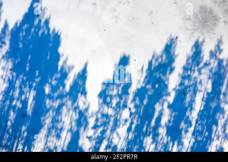 Deutschland, Sachsen-Anhalt, Schönebeck, Königsee mit langen Baumschatten. Das Wasser wurde durch den Abbau von Quarzitgestein erzeugt. Es wurde 1920 geschlossen. Der Königsee ist 25 Meter tief und bei Tauchern beliebt. Stockfoto