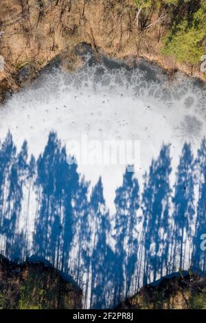 Deutschland, Sachsen-Anhalt, Schönebeck, Königsee mit langen Baumschatten. Das Wasser wurde durch den Abbau von Quarzitgestein erzeugt. Es wurde 1920 geschlossen. Der Königsee ist 25 Meter tief und bei Tauchern beliebt. Stockfoto