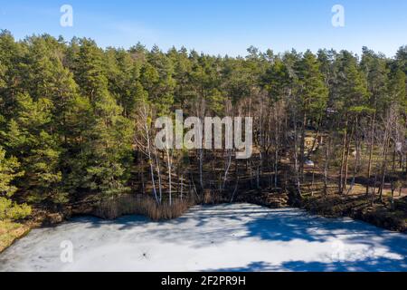 Deutschland, Sachsen-Anhalt, Plötzky, gefrorener Königsee, dahinter ein Wald mit Fichten. Stockfoto