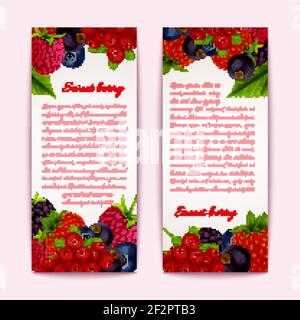 Natürliche Bio Wald gesunde Beeren Banner vertikale Set Vektor Illustration Stock Vektor