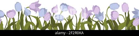 Nahtlose Grenze der Tulpen Blumen. Vektorgrafik, Hintergrund, Muster, Druck für Verpackungspapier, Postkarten, Textilien. Rahmen mit farbenfroher Tulpe Stock Vektor